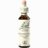Bach- Blüte Honeysuckle Tropfen 20 ml - ab 8,93 €
