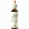 Bach- Blüte Honeysuckle Tropfen 20 ml - ab 8,89 €