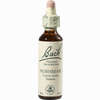 Bach- Blüte Hornbeam Tropfen 20 ml - ab 8,80 €