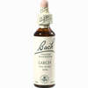 Bach- Blüte Larch Tropfen 20 ml - ab 8,80 €