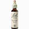 Bach- Blüte Mustard Tropfen 20 ml - ab 8,55 €