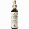 Bach- Blüte Pine Tropfen 20 ml - ab 8,80 €