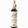 Bach- Blüte Red Chestnut Tropfen 20 ml - ab 8,92 €