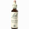 Bach- Blüte Rock Rose Tropfen 20 ml - ab 8,62 €
