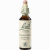 Bach- Blüte Scleranthus Tropfen 20 ml - ab 8,93 €