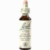 Bach- Blüte Star Of Bethlehem Tropfen 20 ml - ab 8,70 €