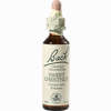 Bach- Blüte Sweet Chestnut Tropfen 20 ml - ab 9,16 €