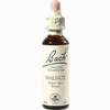 Bach- Blüte Walnut Tropfen 20 ml - ab 8,85 €