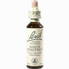 Abbildung von Bach- Blüte White Chestnut Tropfen 20 ml
