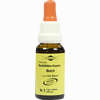 Bachblüten Murnauer Tropfen Beech  20 ml - ab 7,85 €