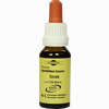 Bachblüten Murnauer Tropfen Cerato  20 ml - ab 7,85 €