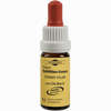Bachblüten Murnauer Tropfen Cherry Plum  20 ml - ab 7,71 €
