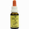 Bachblüten Murnauer Tropfen Elm  20 ml - ab 7,85 €