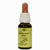 Bachblüten Murnauer Tropfen Gentian  20 ml - ab 7,85 €
