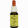 Bachblüten Murnauer Tropfen Gorse  20 ml - ab 7,49 €