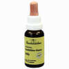 Bachblüten Murnauer Tropfen Holly  20 ml - ab 7,85 €
