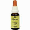 Bachblüten Murnauer Tropfen Larch  20 ml - ab 7,85 €