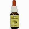 Bachblüten Murnauer Tropfen Olive  20 ml - ab 7,85 €