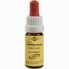 Bachblüten Murnauer Tropfen Rock Rose  20 ml - ab 7,85 €