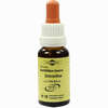 Bachblüten Murnauer Tropfen Scleranthus  20 ml - ab 7,85 €