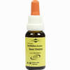 Bachblüten Murnauer Tropfen Sweet Chestnut  20 ml - ab 7,85 €
