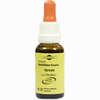 Bachblüten Murnauer Tropfen Vervain  20 ml - ab 7,49 €
