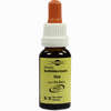 Bachblüten Murnauer Tropfen Vine  20 ml - ab 7,46 €