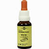 Bachblüten Murnauer Tropfen Wild Oat  20 ml - ab 7,85 €