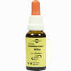 Bachblüten Murnauer Tropfen Willow  20 ml - ab 7,85 €