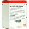 Bacterium Coli- Injeel Ampullen 10 Stück - ab 18,52 €