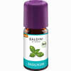 Baldini Bioaroma Basilikum Bio/demeter Öl 5 ml - ab 4,47 €