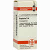 Baptisia D4 Globuli 10 g - ab 7,22 €