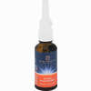 Basen Nasenspray Lqa 30ml Spr  30 ml - ab 12,39 €