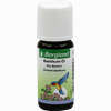 Basilikum- Öl Bergland 10 ml - ab 9,55 €