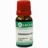 Belladonna Arca Lm 6 10 ml - ab 9,64 €