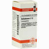 Belladonna C12 Globuli 10 g - ab 6,98 €