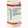Belladonna D2 Globuli 10 g - ab 6,98 €