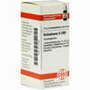 Belladonna D200 Globuli Dhu-arzneimittel 10 g - ab 10,76 €