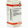 Belladonna D4 Globuli 10 g - ab 6,52 €