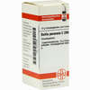 Bellis Perennis C200 Globuli 10 g - ab 12,35 €