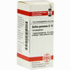 Bellis Perennis D12 Globuli 10 g - ab 6,98 €