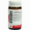 Berberis/apis Comp Globuli 20 g - ab 7,18 €