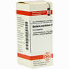 Berberis Aquif D12 Globuli 10 g - ab 7,55 €