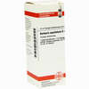 Berberis Aquif D4 Dilution 20 ml - ab 9,29 €