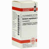 Berberis Aquif D6 Globuli 10 g - ab 7,55 €