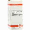 Berberis Aquif D6 Tabletten 80 Stück - ab 7,60 €