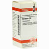 Berberis C6 Globuli 10 g - ab 7,55 €