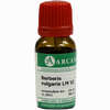 Berberis Vulg. Arca Lm 6 10 ml - ab 11,49 €
