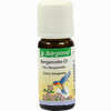 Bergamotte Öl Bergland  10 ml - ab 6,35 €