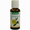 Bergland Nachtkerzenöl Öl 30 ml - ab 10,90 €